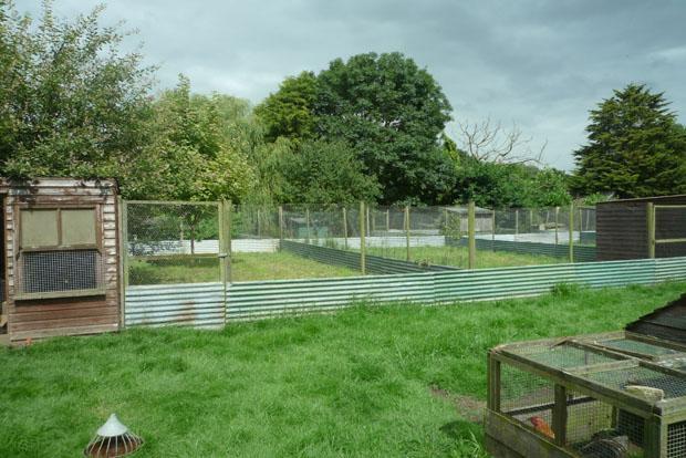 Fenced Areas