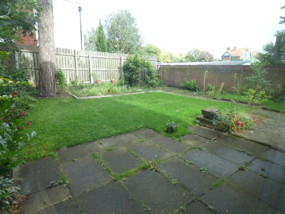 Photo 11