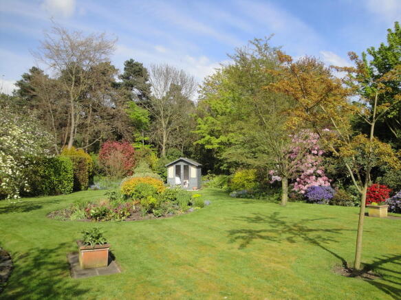 Garden in Summer