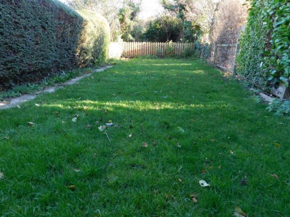 rear garden.JPG