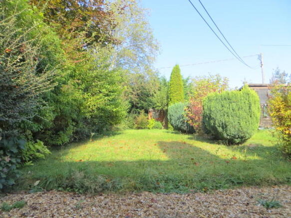 Photo 5
