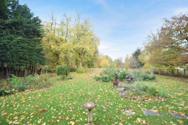 Garden 2