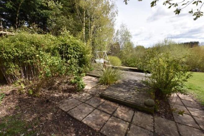 Deck with pond (Small).JPG