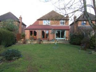 Rear Elevation