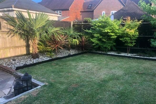 Garden (summer 2022)
