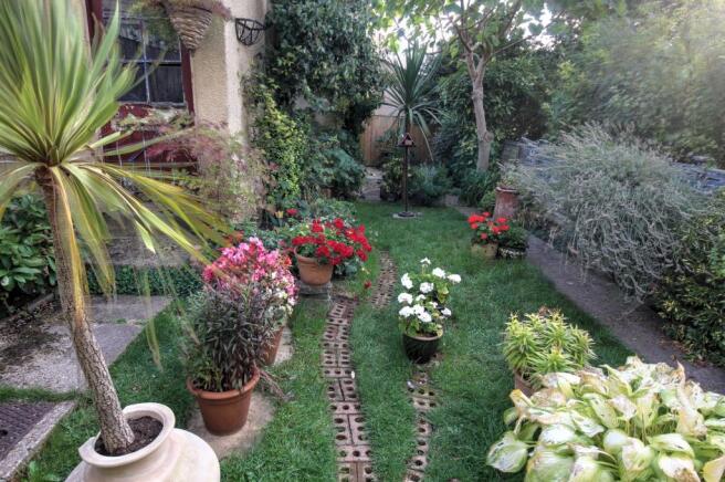 Garden 2