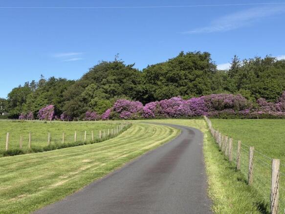 Driveway
