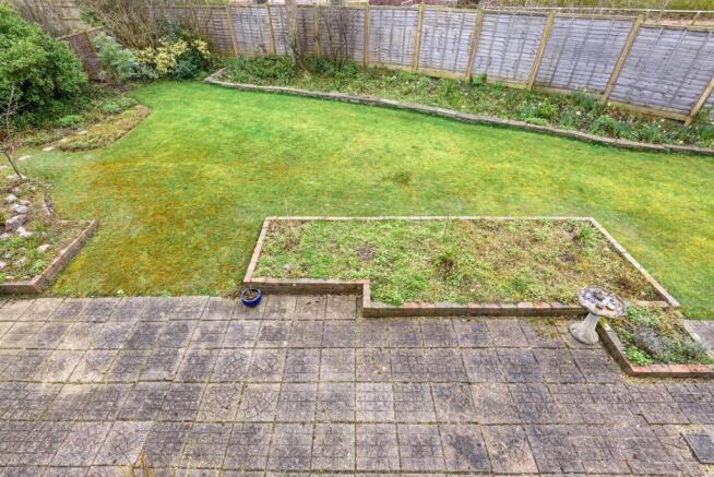 Back garden