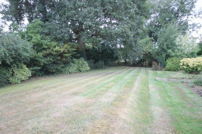 Garden 3
