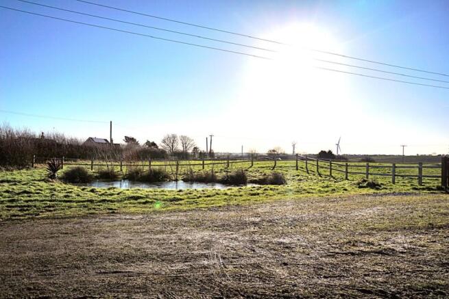 Pond
