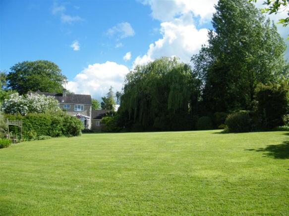 new garden 4.JPG