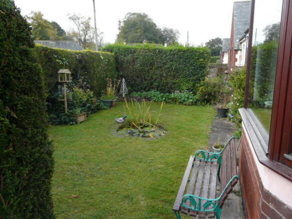 Photo 7