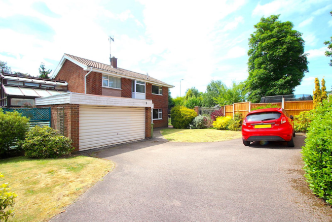 Plot View