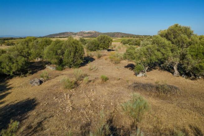 Plot of Land, Barrocal, Monsaraz, Évora, Alentejo
