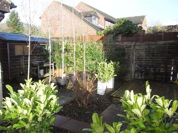 Photo 11