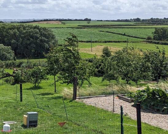Vegetable Garden & Orchard