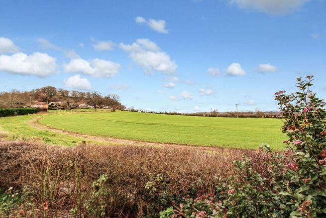 View from Property at Back