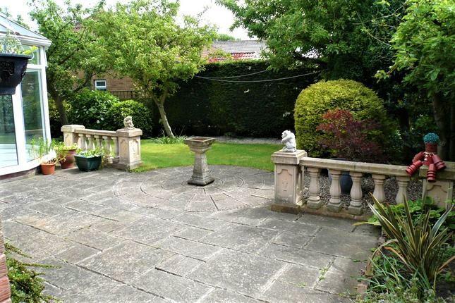 Rear Patio