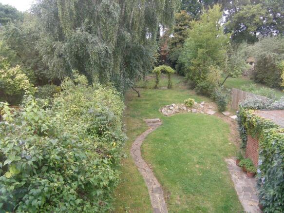 Photo 5