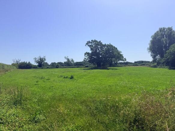 The Paddock