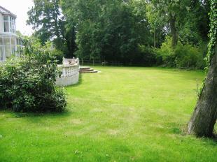 Lawn area