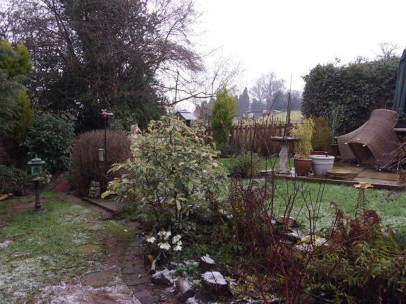 Photo 15