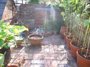 Rear Garden (3)