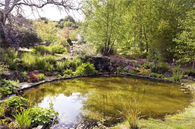 Pond
