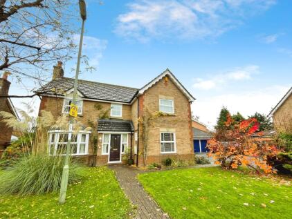 Magnus Drive, Basingstoke, RG22