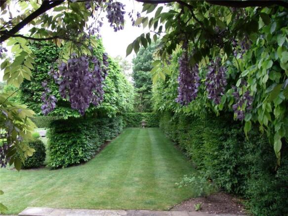 Garden 1