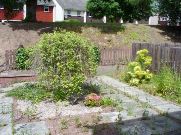 back garden
