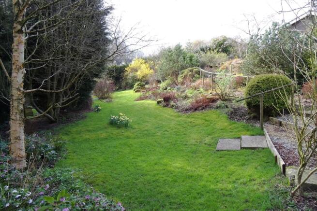 Lower lawn