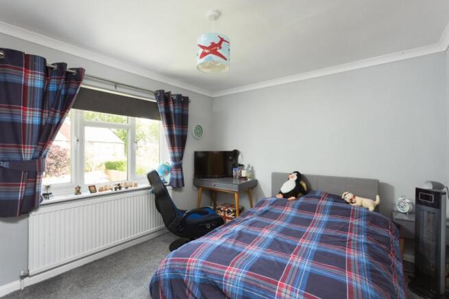 Photos