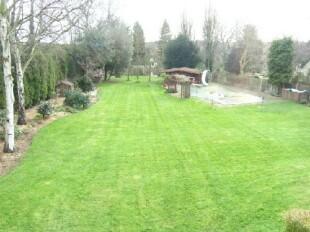 Garden and Pool