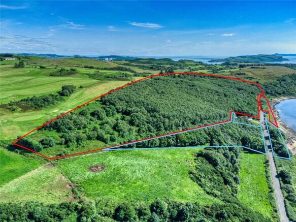 Fintry Bay Woods