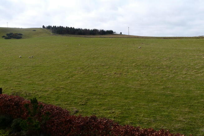 Countryside View