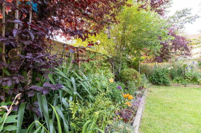 Photo 27