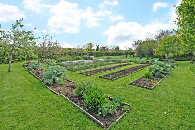 Vegetable Garden