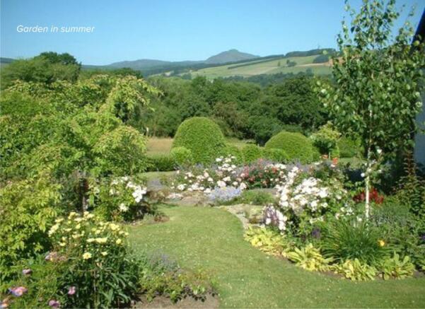 Garden In Summer