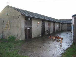 Stables