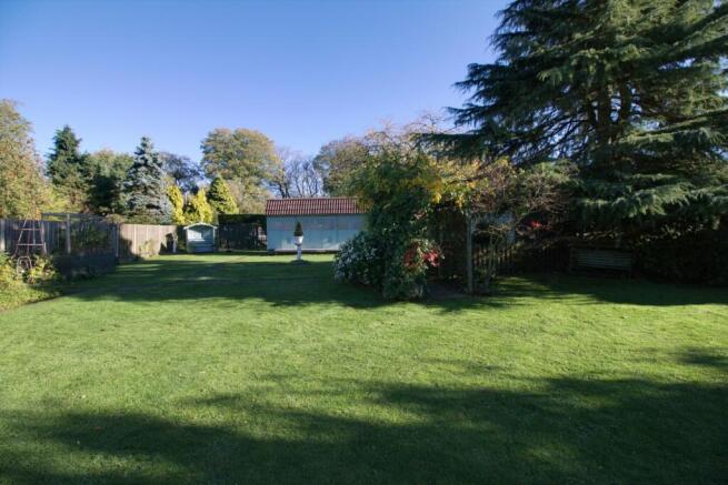 Garden..jpg