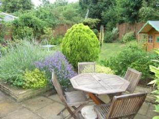 garden
