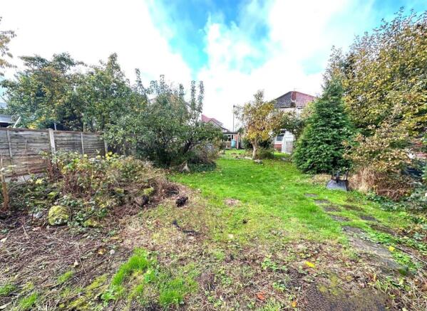 garden 3.jpg