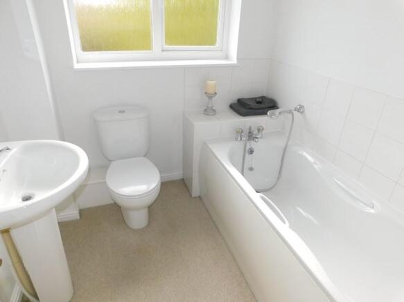 Picture 8