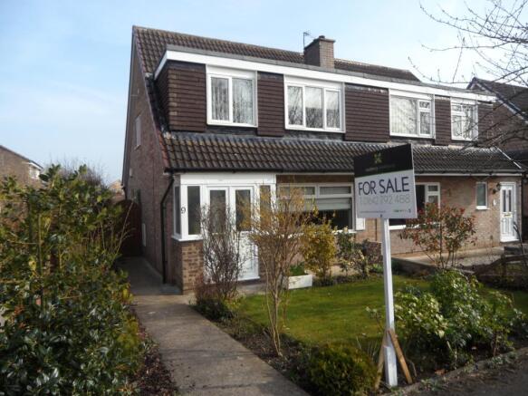 Picture No.19