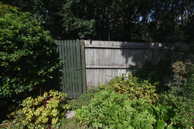 Photo 24