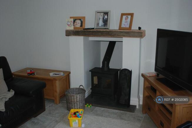 Log Burner