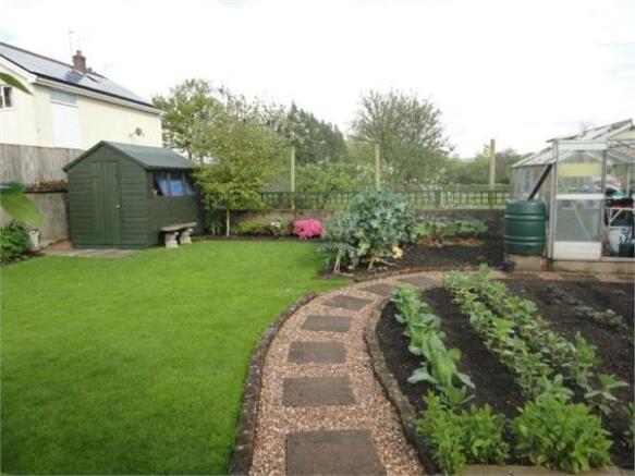 Photo 12
