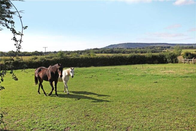 Rural Views