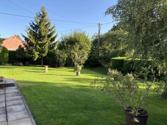 Photo 21